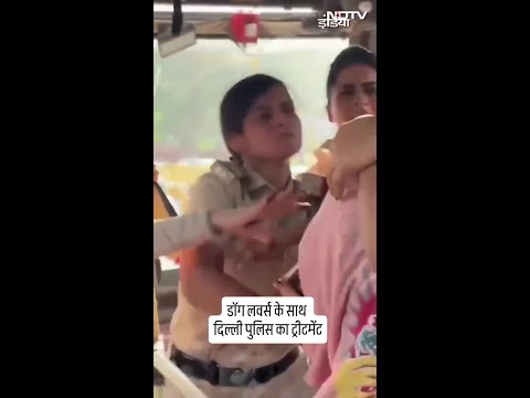 'धक्का क्यों मार रहे...' : डॉग लवर्स के साथ दिल्ली पुलिस का ट्रीटमेंट | Viral Shorts | Delhi Police