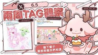 【觀察龍民】生日活動尾聲！龍下輩子還想與你們相遇！ | 高維爾聊聊天 #台灣Vtuber