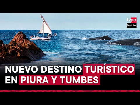 Gobierno crea la Reserva Nacional Mar Tropical de Grau que impulsará el turismo en Piura y Tumbes