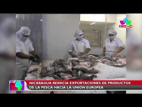 Nicaragua reinicia exportaciones de productos de la pesca hacia la Unión Europea