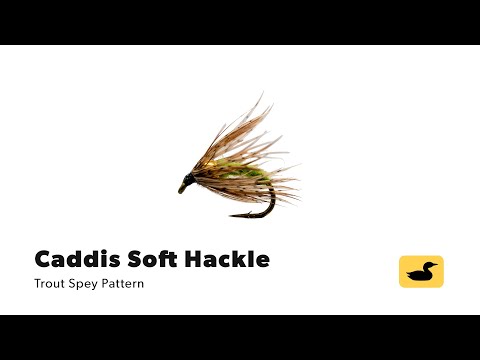 Fly Tying Tutorial: Caddis Soft Hackle