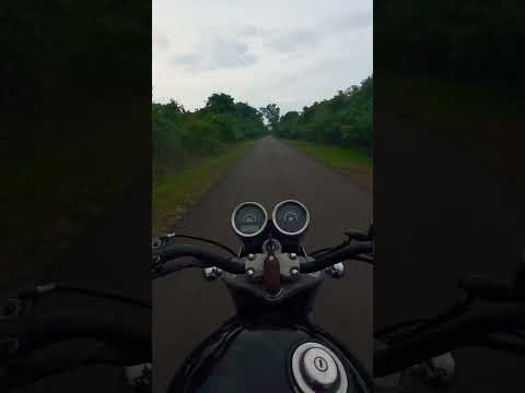 #music #love #newmusic #nature #lifeisbutadream #rider #bikeride #forestsounds #rain