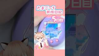 【たまごっちパラダイス】フィールドを移動できるようになりました！「りく」に上陸！！【古月アイル/Vtuber】#shorts