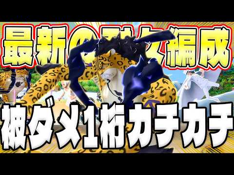 1桁ダメージ!?ルッチ最新カチカチメダル編成！【バウンティラッシュ】