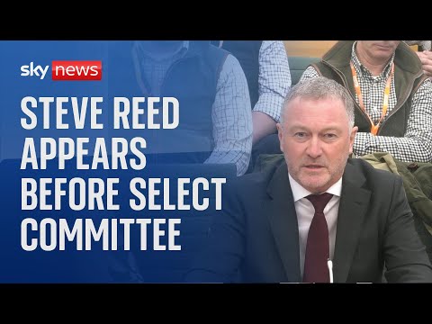 Watch live: Steve Reed appears before the Lords' Environment and Climate Change committee