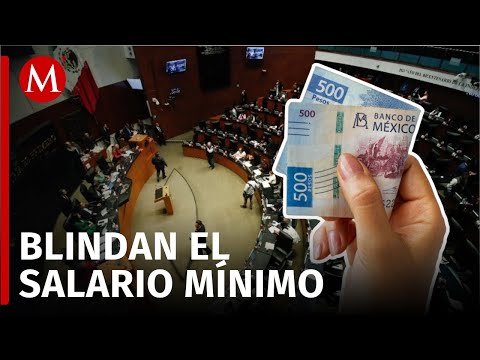 Senado aprueba reforma constitucional para el salario mínimo