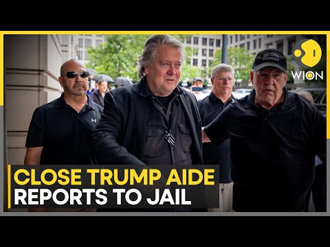 Close Trump aide Steve Bannon begins four-month prison sentence | WION News