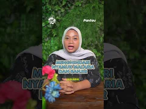 Manusia Pohon dari Papua, Rumah di Ketinggian 70 Meter #shorts