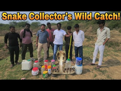 एक बार फिर से रेस्क्यू किए गए सांपों को जंगल में छोड़ा 🐍