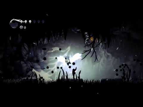 Hollow knight first Run