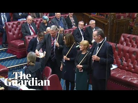 Lords vote to delay Rwanda treaty in another setback for Sunak