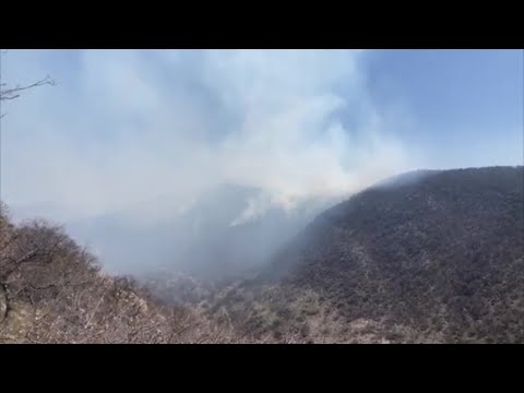 Continúa combate al incendio en sierra de San Miguelito; solicitan víveres para brigadistas