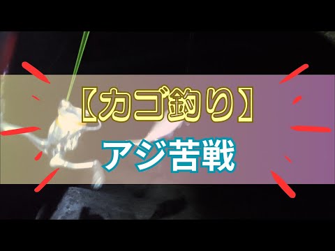夜のアジ カゴ釣りで苦戦（2週連続釣行）