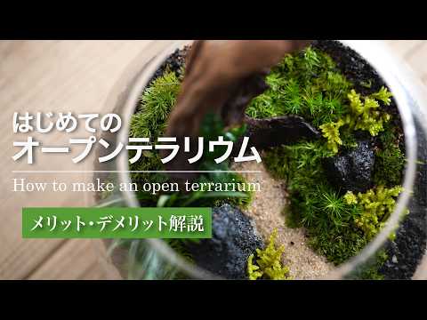 フタがないオープンテラリウムの作り方と管理方法No.204