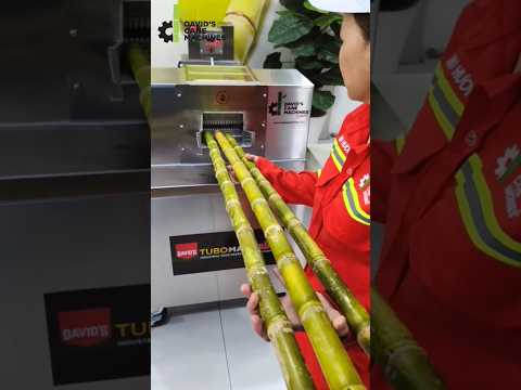 +84375104049 5HP New Tech Industrial Sugarcane Crusher | TurboMax® Mini #shorts #davidscanemachines