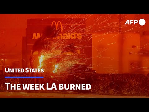 The week LA burned | AFP