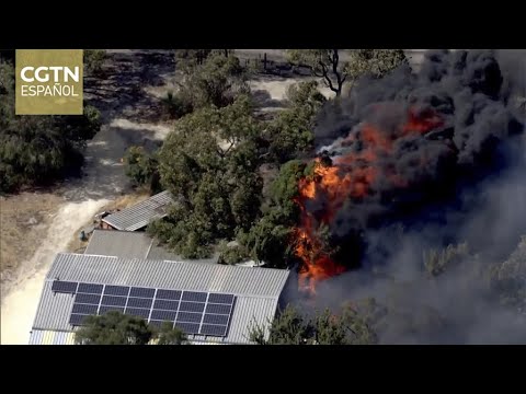La ciudad de Perth afronta una crisis de incendios forestales en medio de una ola de calor