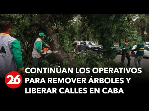 Tras el temporal, continúan los operativos para remover árboles y liberar calles en CABA
