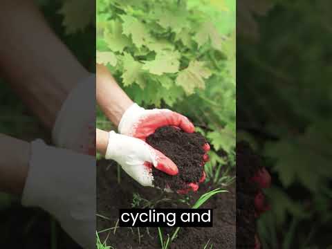 Soil Climate Change: Unraveling Nature's Hidden Story #shorts #soil #climate #agriculture