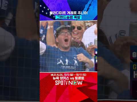 블라디미르 왕귀 