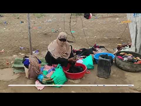 قناة بلقيس الفضائية