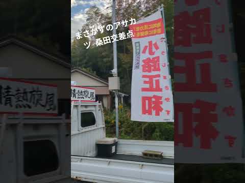 【まさかずのアサカツ🌞】桑田交差点 県道整備 歩道整備 情熱旋風 情熱未来予想図 いすみに輝きを フェーズフリー 小路正和