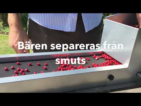 Bärrensare Berrybooster | Smartasaker.se