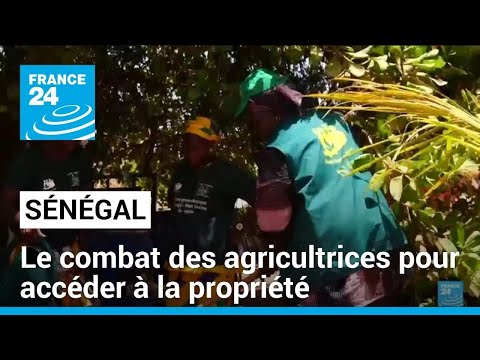 Au Sénégal, le combat des agricultrices pour accéder à la propriété • FRANCE 24