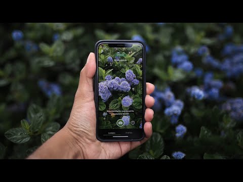 Seek app lets users identify plant and animal species in real time