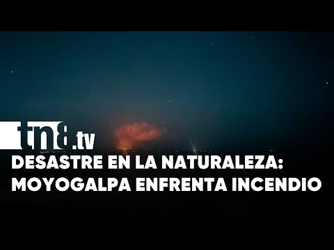 Llamas amenazan la biodiversidad: Incendio forestal en Moyogalpa, Ometepe