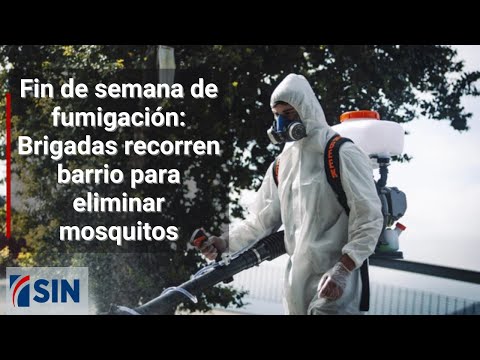 Fin de semana de fumigación: Brigadas recorren barrio para eliminar mosquitos
