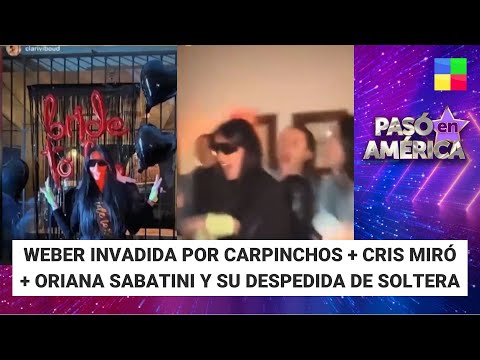 Weber invadida por carpinchos + Cris Miró + Oriana Sabatini #PasóenAmérica| Programa (01/07/24)