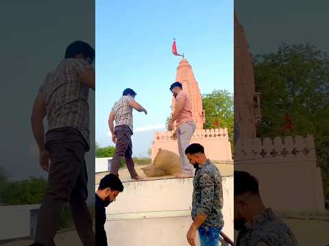 Bhai Bhai Bird 🕊️ ke liye #pawan #trending #rajasthan #love #birds