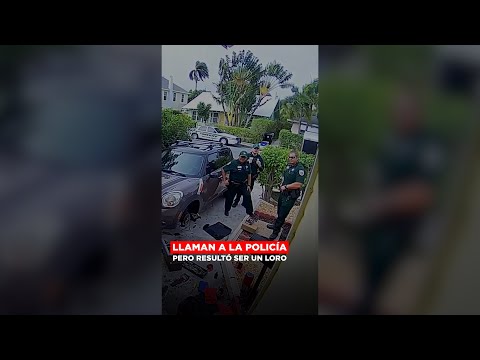 Llaman a la policía por culpa de un loro @SoyAlmaCervantes