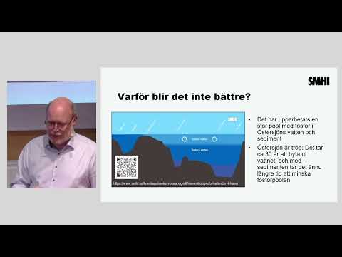 Östersjödagarna i Almedalen: Restaurering ute till havs - Hur räddar vi torsken i Östersjön?
