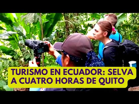 Turismo en Ecuador: la selva a cuatro horas de Quito