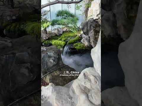 ⛅ SALON DE THÉ DANS LES NUAGES 🫖  #chinatravel #shanghai #china #vlogtravel #humour #travel #funny