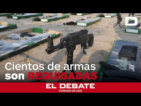 Requisan cientos de armas en una operación antidroga en Bolivia