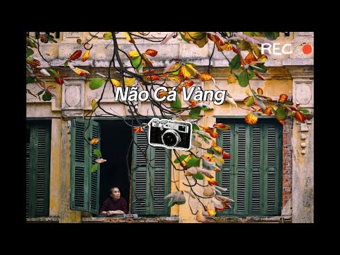 Não Cá Vàng - ONLY C ft. LOU HOÀNG | AI Cover _ #ntcovermusic