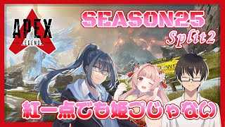 🌸APEX🎶SEASON25 Split2〖アウストラリウス〗 #0013 ✨【女性VTuber／綾瀬桜】〖毎日22時から配信中〗#APEX