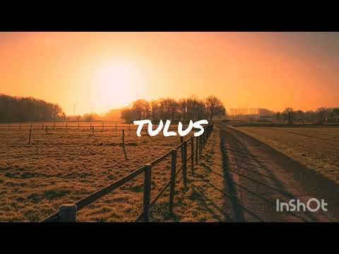 TULUS - SANDRA DIANNE (LIRIK)