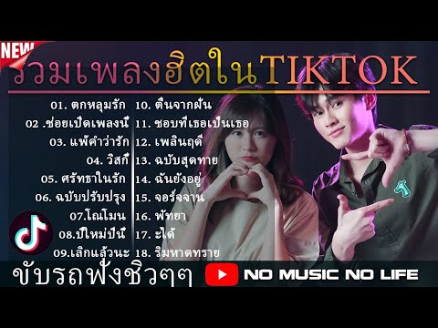 รวมเพลงฮิตในTikTokเพลงเพราะเพ