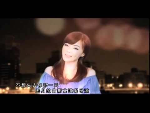 2010謝金燕《憨人》八點檔（天下父母心）片頭曲
