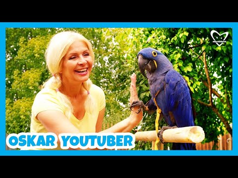 Míša Růžičková - Oskar YouTuber - Písničky pro děti 