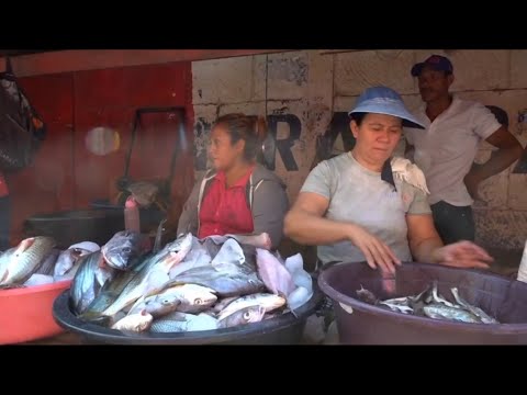 Aumenta venta de pescados y mariscos en la zona costera de Carazo