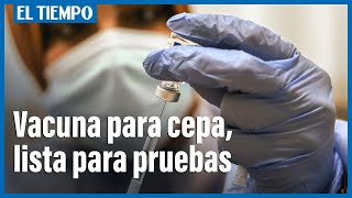 Vacuna de Moderna contra cepa de coronavirus, lista para pruebas