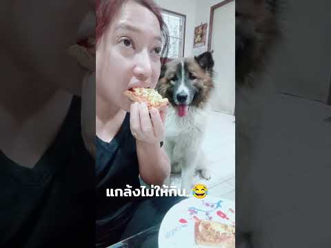 แกล้งไม่ให้กินดูสิ!เจ้ามีเงิ