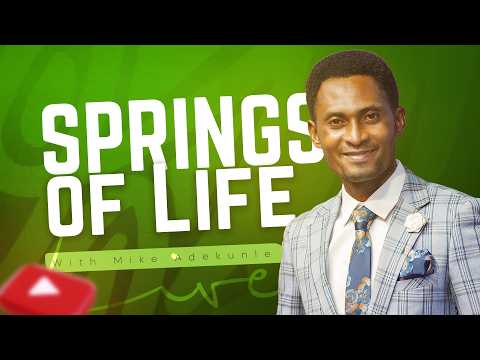 SPRINGS OF LIFE || THE WAITING ROOM