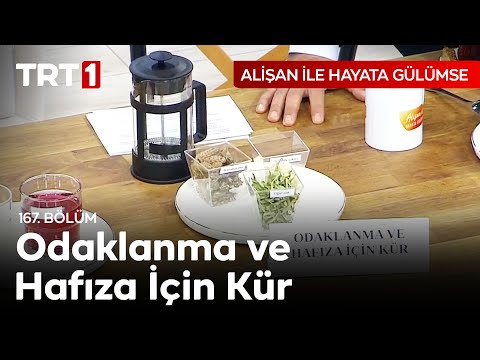 Odaklanma ve Hafıza İçin Kür - Dr. Muammer Yıldız Anlatıyor - Alişan ile Hayata Gülümse