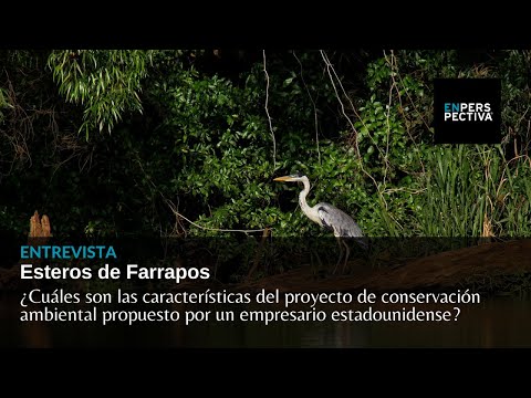 Esteros de Farrapos: ¿Cómo es el proyecto de conservación ambiental propuesto?